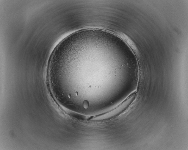 X0000115821052200911131440