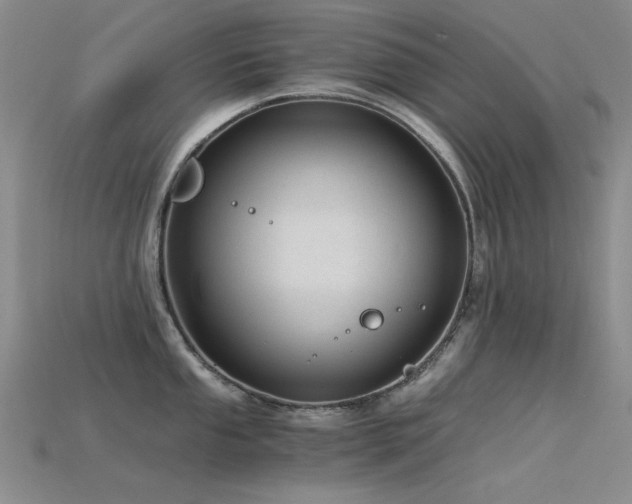 X0000115821053200911131440