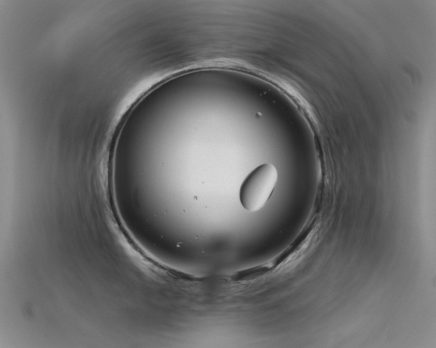 X0000115821054200911131440