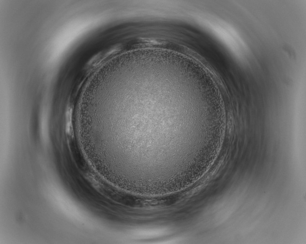 X0000115821055200911131440