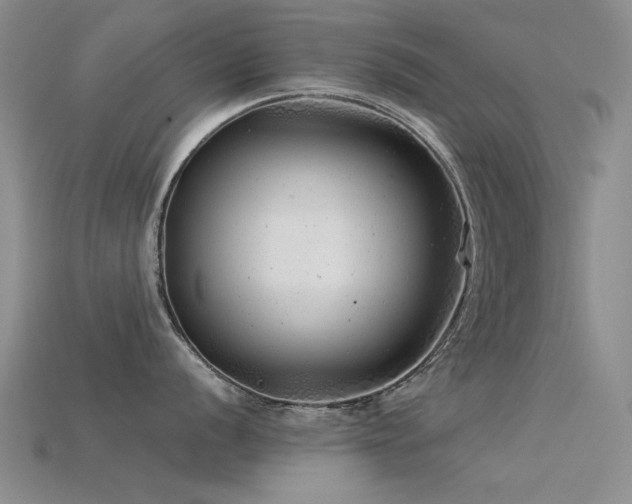 X0000115821056200911131440