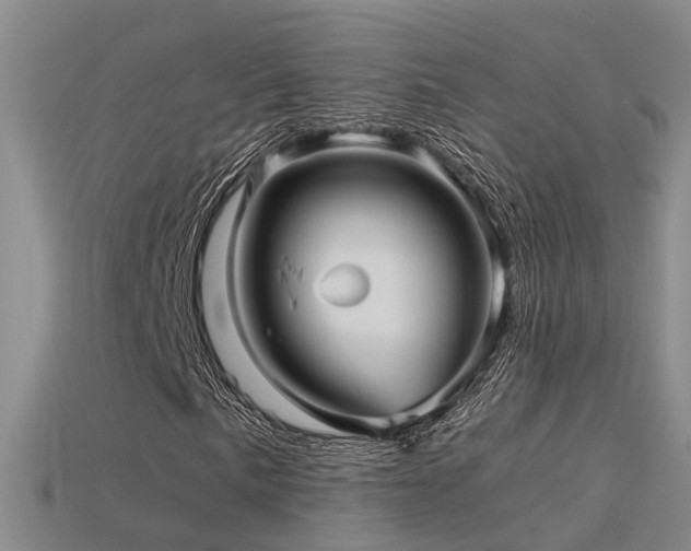 X0000115821057200911131440