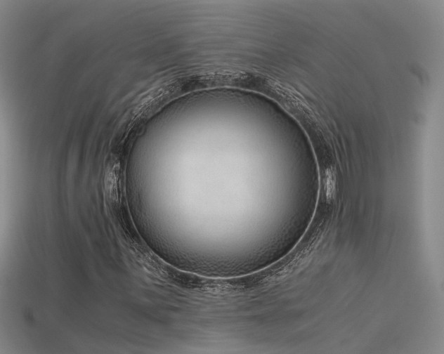 X0000115821059200911131440