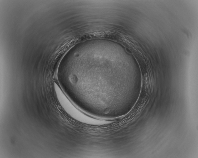 X0000115821060200911131440