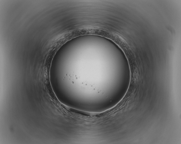 X0000115821062200911131440