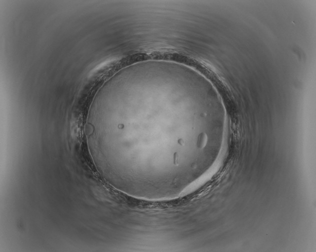 X0000115821063200911131440