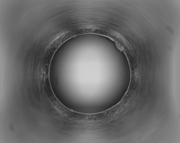 X0000115821064200911131440