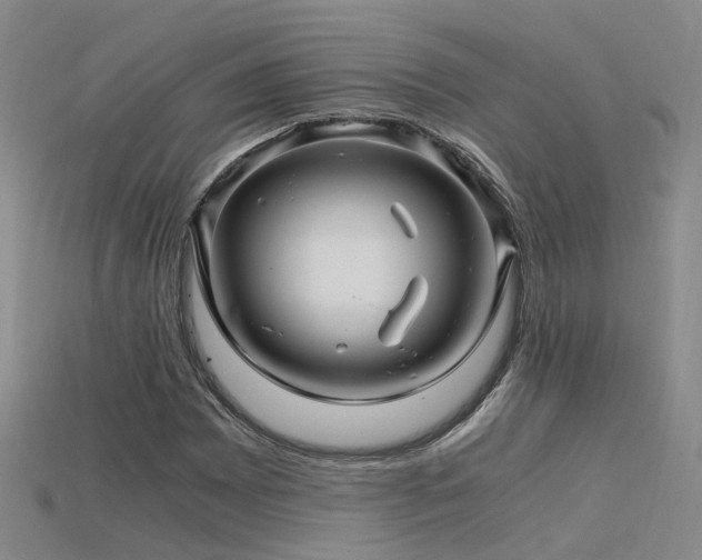 X0000115821065200911131440