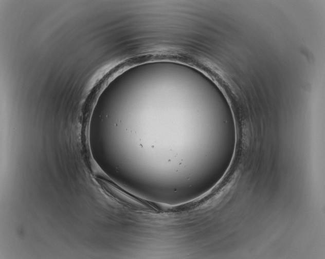 X0000115821066200911131440