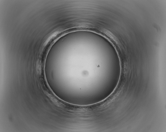 X0000115821067200911131440