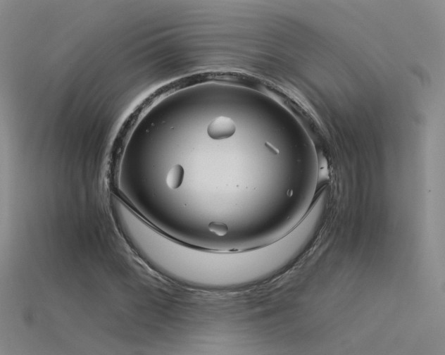 X0000115821068200911131440