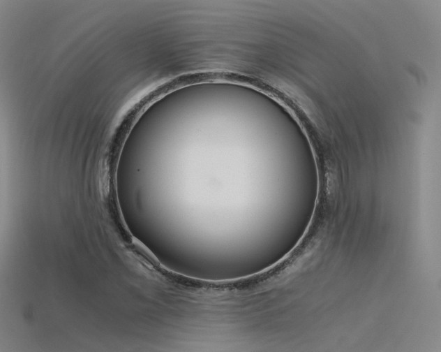 X0000115821069200911131440