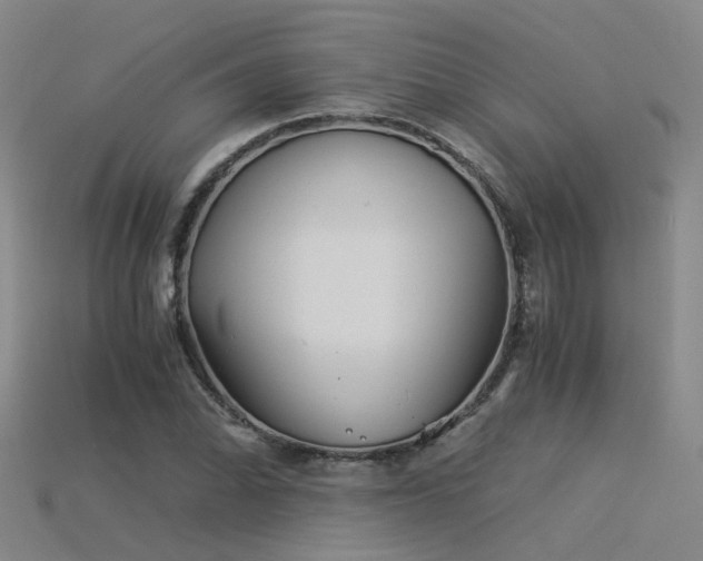 X0000115821070200911131440