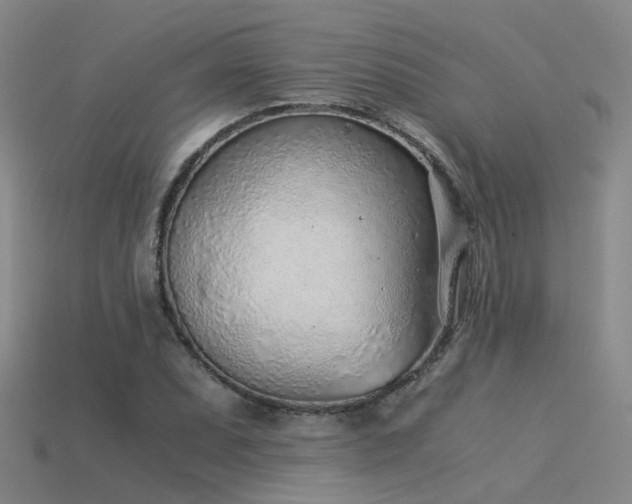 X0000115821071200911131440