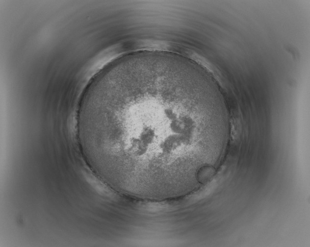 X0000115821074200911131440