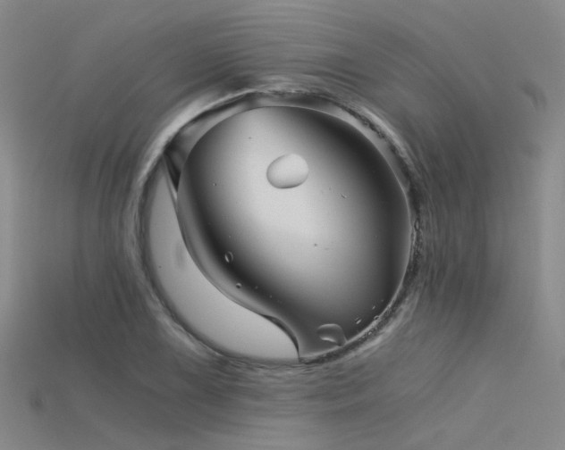 X0000115821075200911131440