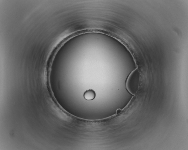 X0000115821076200911131440