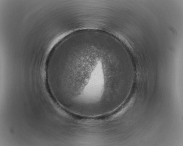 X0000115821077200911131440