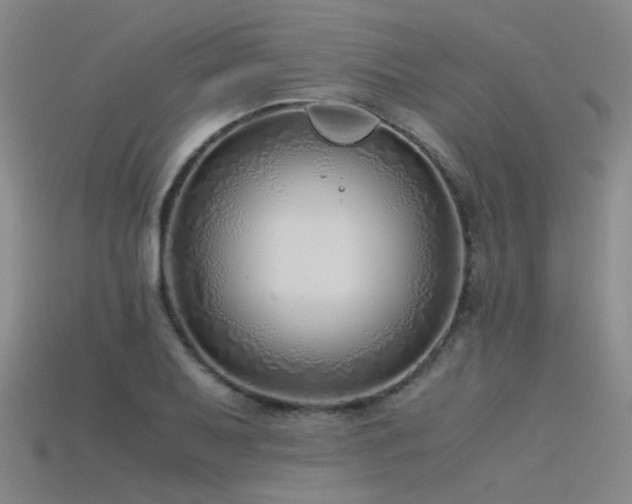 X0000115821079200911131439