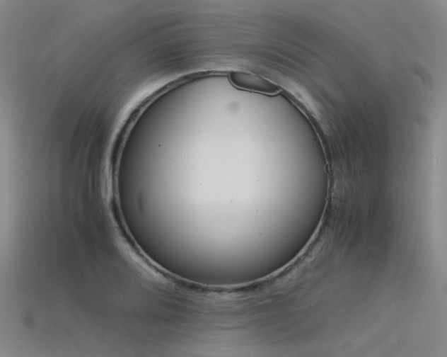 X0000115821080200911131439