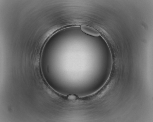 X0000115821081200911131439