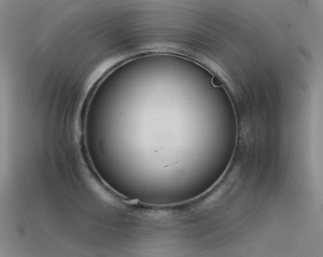 X0000115821082200911131439