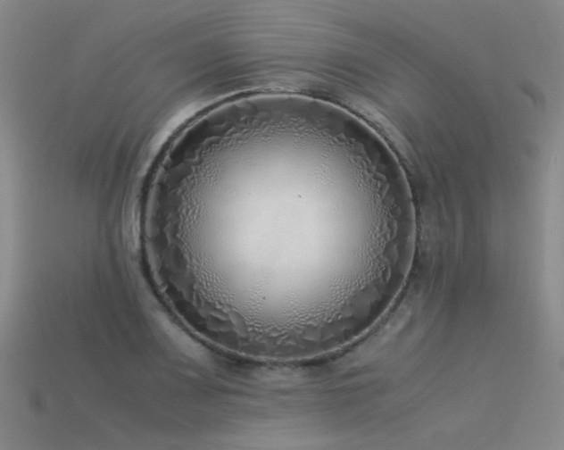 X0000115821083200911131439