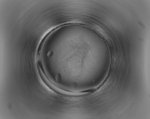 X0000115821084200911131439