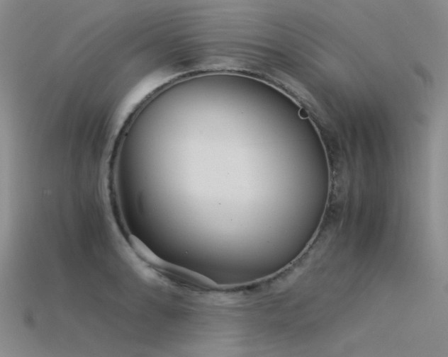 X0000115821086200911131439