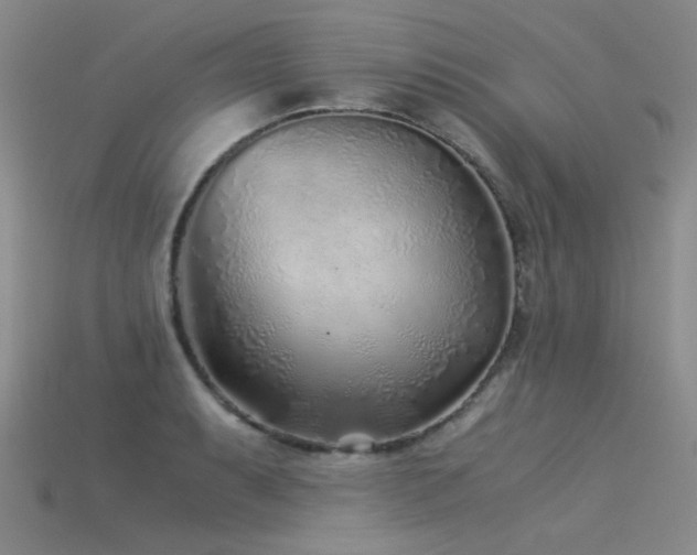 X0000115821087200911131439