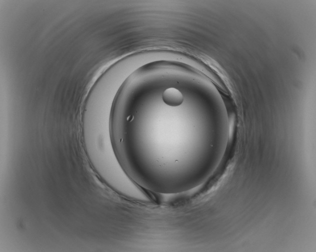 X0000115821089200911131439