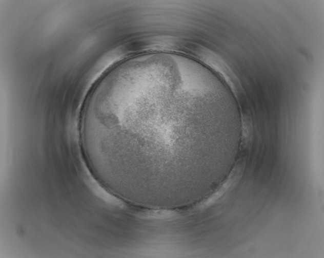 X0000115821090200911131439