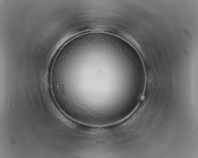 X0000115821091200911131439