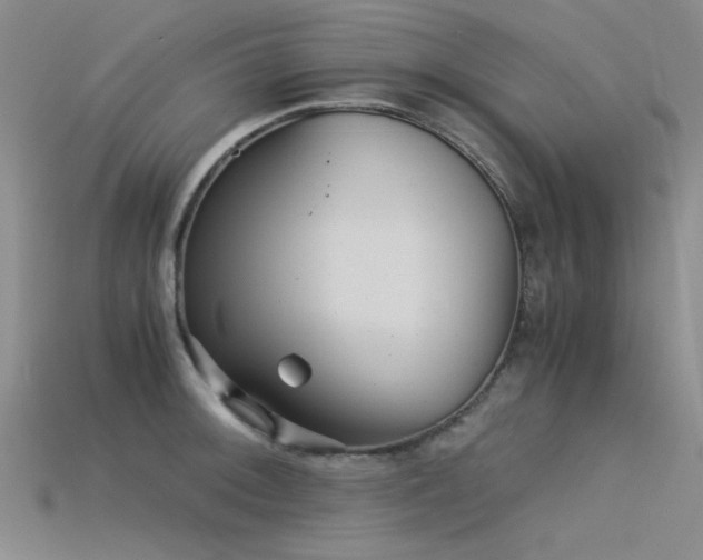 X0000115821092200911131439