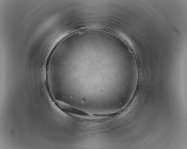 X0000115821095200911131439