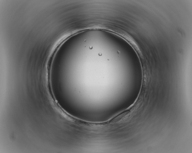 X0000115821096200911131439