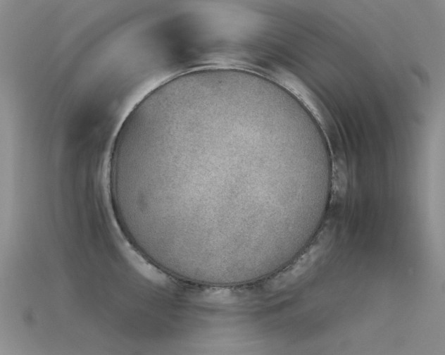 X0000115821098200911131439