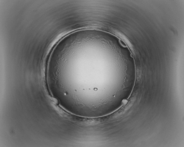 X0000115821099200911131439