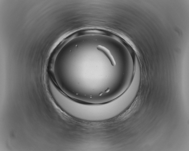 X0000115821101200911131439