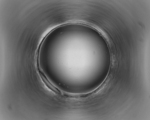 X0000115821102200911131439