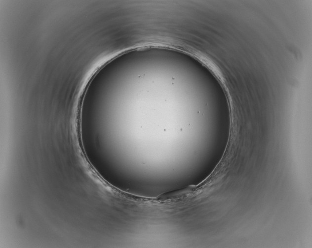 X0000115821104200911131439