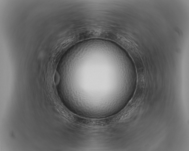 X0000115821105200911131439