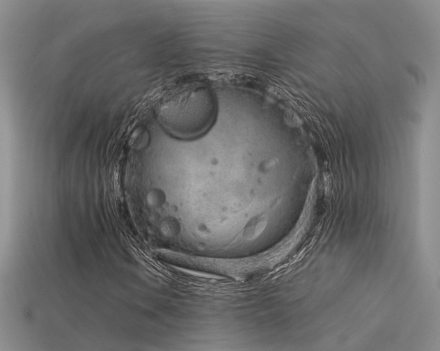 X0000115821106200911131439