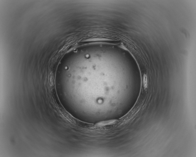 X0000115821107200911131439