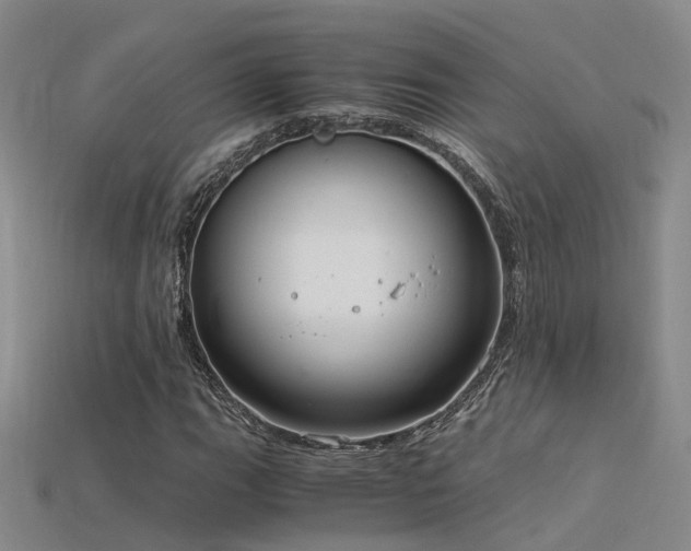 X0000115821111200911131439