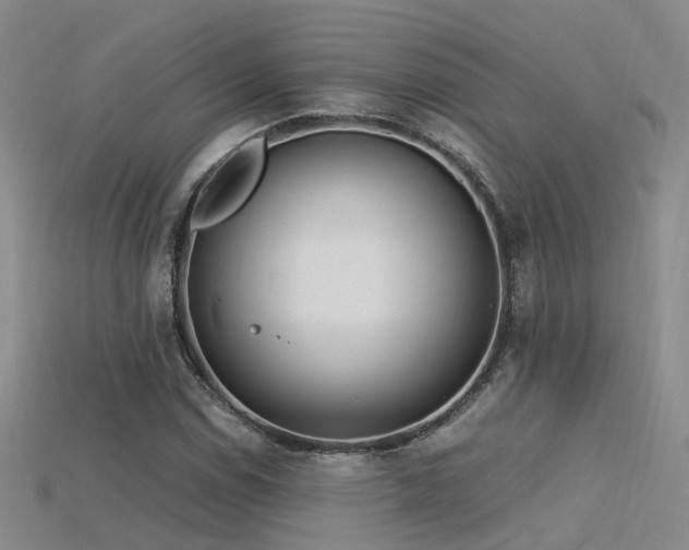 X0000115821114200911131439