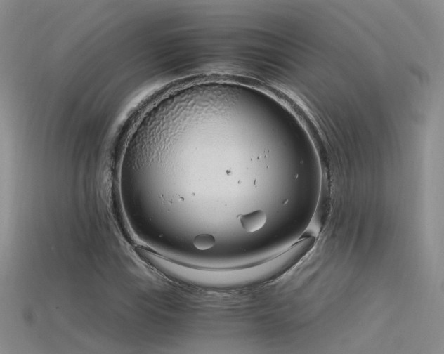 X0000115821115200911131439