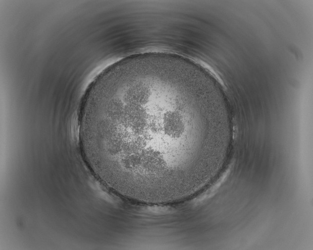 X0000115821117200911131439