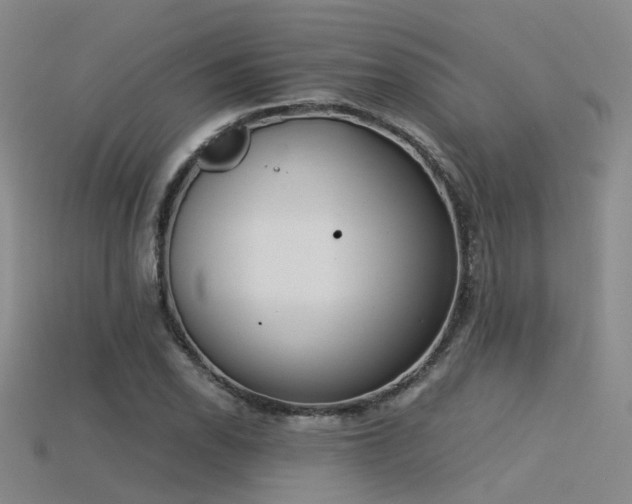 X0000115821118200911131439