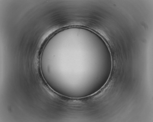 X0000115821119200911131439